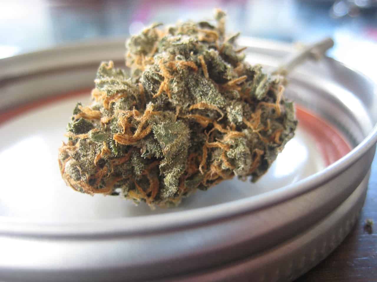 ההבדל המהותי בין CBD ל THC –